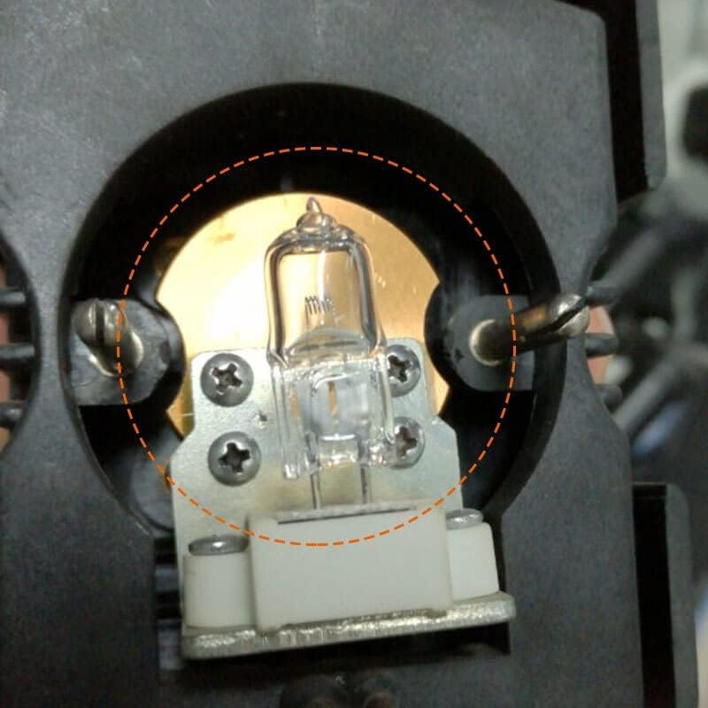Mikroszkóp Kiegészítők 5DB G4 6V Lámpa Gyöngyök 5W 10W 15W 20W 25W 30W Mikroszkóp Tartozék Labor Fogyóeszközök (Warna : 15W)