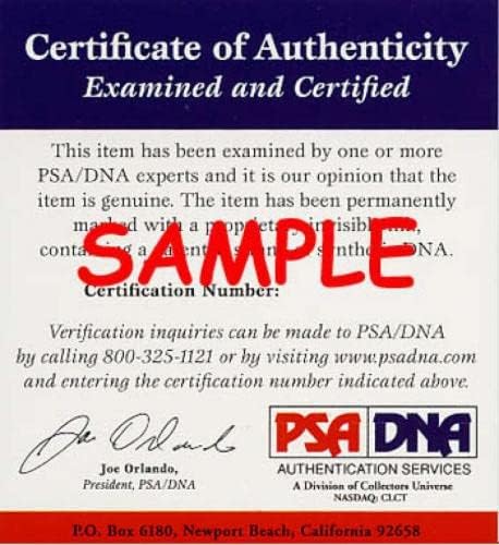 Ken Stabler a PSA DNS Aláírt 8x10 Autogramot Fotó Delfinek - Dedikált NFL-Fotók