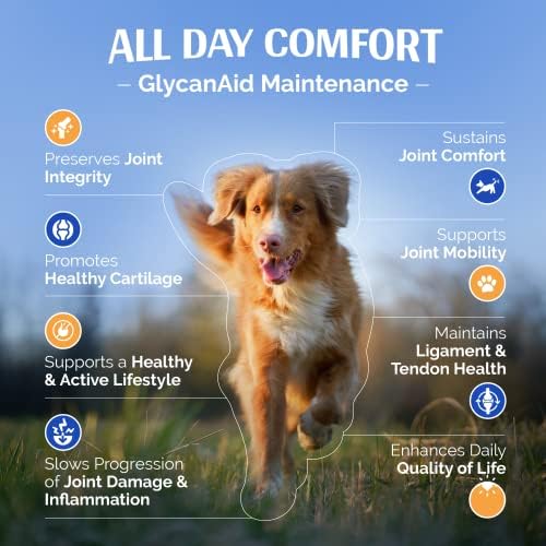 TopDog Egészségügyi GlycanAid Karbantartás Közös Kiegészítő Kutyák számára - Made in USA & USA Összetevők - Glükózamin HCL - Kondroitin-Szulfát