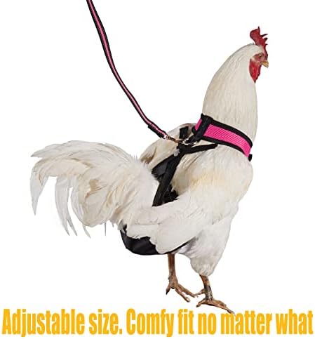 Yesito Csirke Hám Tyúk Méret 6ft Megfelelő Póráz Mosható Pet Meghatározott – a Csibék, Libák, Kacsák & Több – Megkönnyítése