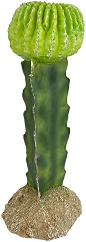 Komodo Hold Kaktusz Hüllő Dekor| Természetes hatású Mesterséges Terrárium Növény Dísz & Élőhely Dekoráció | Könnyen tisztítható,