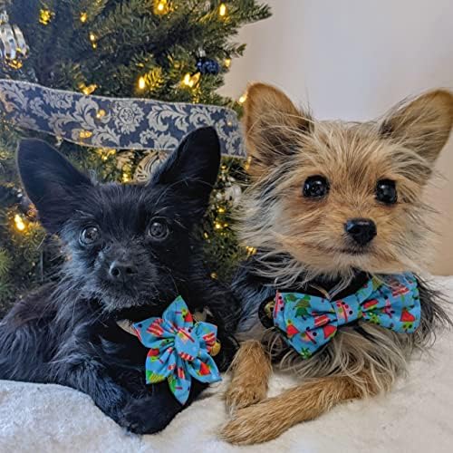 Huxley & Kent Pet Pinwheel | X-Mas Fa (Kicsi) | Karácsonyi Ünnep Tépőzáras Nyakörv Kiegészítő Kutyák/Macskák | Íj Gallér Mellékletet