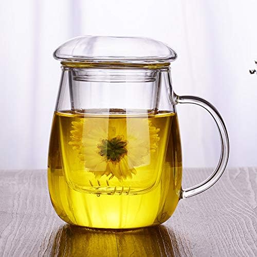 iRSE Üveg Tea Infúzió Kupa Üveg tea szűrő, üveg fedél, Boroszilikát Üveg, tartós, hőálló forró italt laza levél tea gyógynövények, gyógynövény-méregtelenítő,