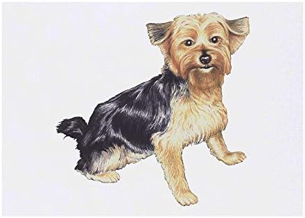 Azeeda 4 x 'Yorkshire Terrier' Ideiglenes Tetoválás (TO00033285)