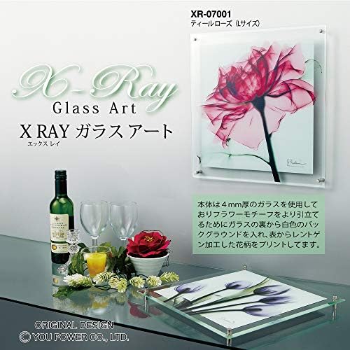 Eupower X RAY üvegművészet M Kék Fény Tulipán XR-05015