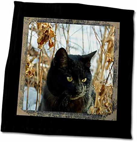 3dRose Gyönyörű Fekete Macska, Arany Szemei a Kertben, Télen - Törölköző (twl-180845-3)