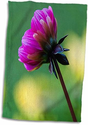 3dRose Roni Chastain Fotózás - Rózsaszín Virág - Törölköző (twl-203168-3)