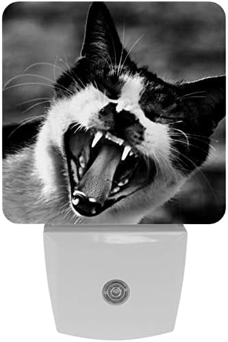 2 Csomag Meleg Fehér LED Éjjeli Szürke Macska Kisállat, Naplemente-hogy-Hajnal-Érzékelő, Kompakt Éjjeli Ideális Gyerekszoba