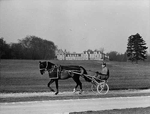 Vintage fotó Ember lovaglás, lovas kocsi.