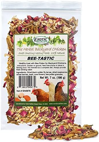Egzotikus Táplálkozás Méh-Tastic - Egészséges, Természetes Csirke Kezelni Szárított Rovarok, Virágok, Gyógynövények, Búza Bogyók & Bee Pollen
