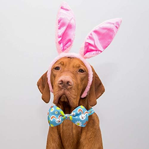 Pohshido 2 Csomag Húsvét Napja Kutya Nyakörv, csokornyakkendő, Nyaralás Ír Szerencsés Shamrock Gallér, Kis-Közepes testű Kutyáknak