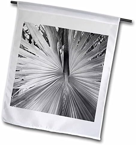 3dRose Kép Fekete-Fehér Pálma Növény Nagyított Fotó - Zászlók (fl_355875_1)