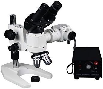 Radikális 1200x Binokuláris Fém Vizsgálat Kohászat Felső Fény Mikroszkóp w USB-Kamera 5Mp