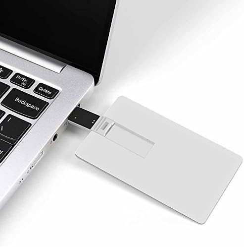 Tigris Retro Naplemente USB Flash Meghajtó Hitelkártya Design USB Flash Meghajtó Személyre szabott Memory Stick Kulcs 64G