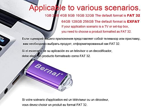 10db/Zacskó Nagy Sebességű Pendrive, USB Flash Meghajtó Fém Hüvelykujj USB 2.0 Üzleti felhasználás USB Lemezt Kulcs (2GB, Lila)