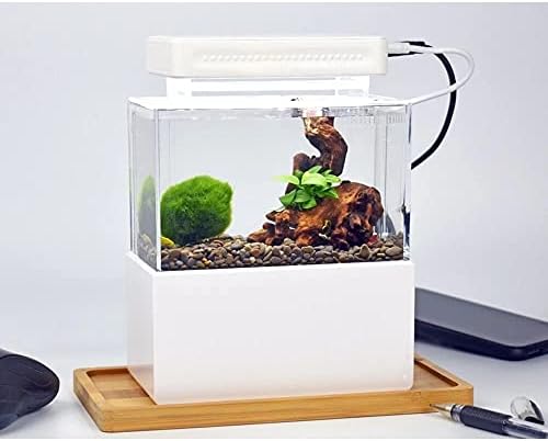 WPYYI Mini akvárium, Asztali Tengeri Akvapóniás Akvárium Halak Tál Vízzel Fliter LED USB Pumpa Hordozható Dekoráció (Szín :
