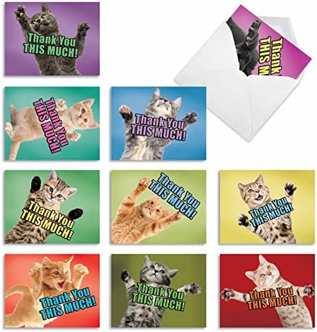 A Legjobb Kártya Cég, Macska Nagy Köszönet - 10 Vicces Köszönöm Kártyák (4 x 5.12 Hüvelyk) - Válogatott Macskák, Ömlesztett díszdobozban