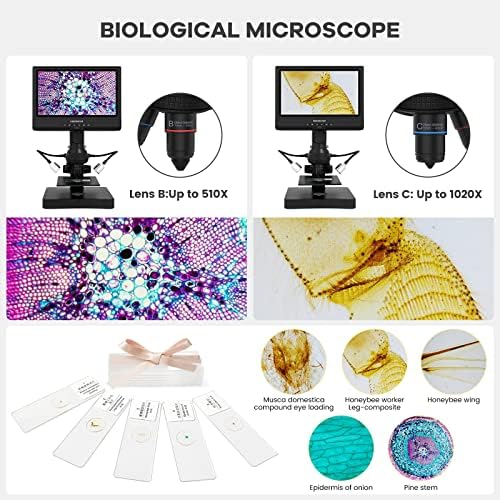 Andonstar AD249-P 10.1 Inch Digitális Mikroszkóp, Érme Mikroszkóp Hiba Érmék Egész Érmék, 1000-3 Lencse 1080P FHD Videó Felvétel, Biológiai