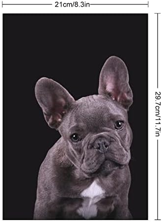 Francia Bulldog a Sötét Vicces Matricák Vízálló Kézműves Matricák Cserélhető Ragasztó Laptop,Scrapbooks,Tervezők,Ajándékok,Bőrönd 8.3 X 11.7